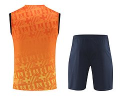 2024-25 Barcelona vest training jersey