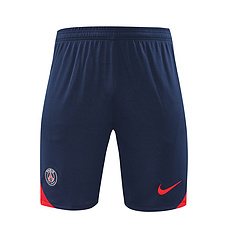 2024-25 Paris Saint-Germain training shirt