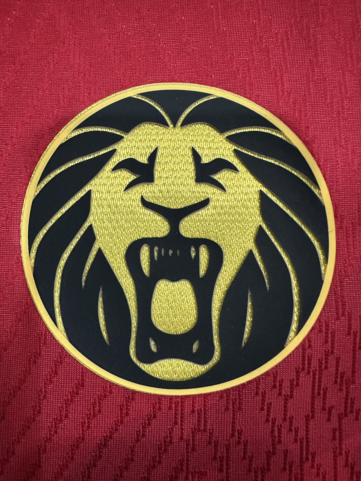 2025-26 Cameroon Away Jersey – Player Version