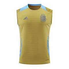 2024-25 Argentina training vest