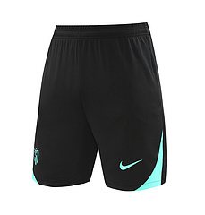 2024-25 Atletico Madrid Training Vest Jersey