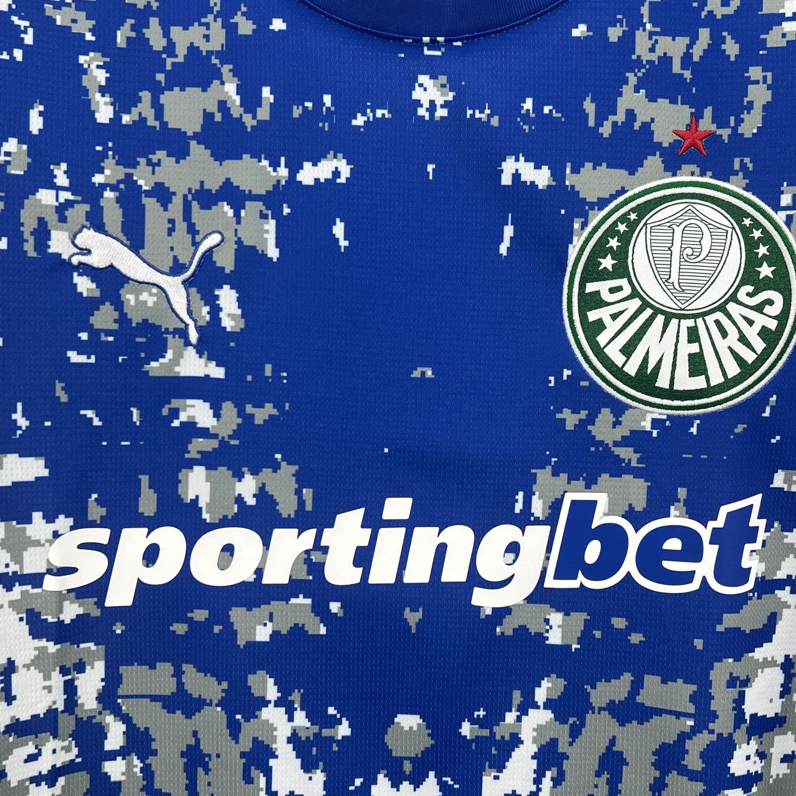 2026-27 Palmeiras Goalkeeper Jersey – Fan Edition