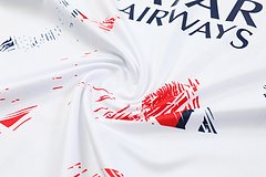2024-25 Paris Saint-Germain training shirt