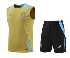 2024-25 Argentina training vest