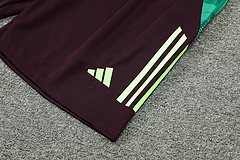2024-25 Mexico training vest