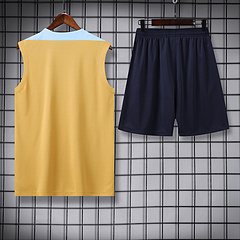 2024-25 France training vest