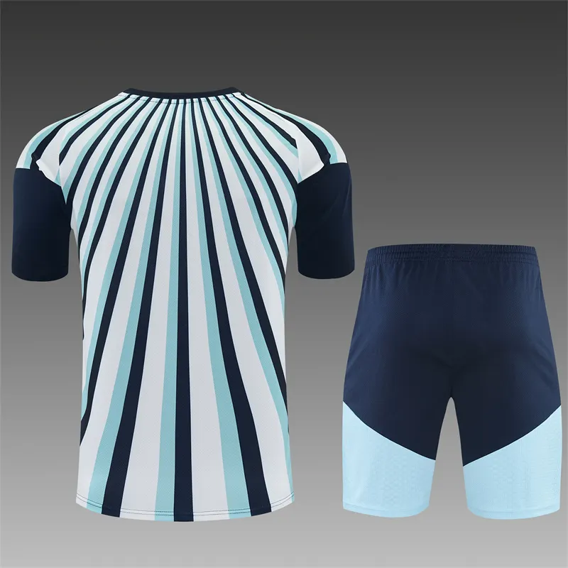 2026-27 Argentina Blue and White Short-Sleeve Training Jersey