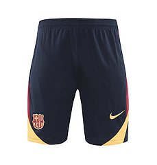 2024-25 Barcelona vest training jersey