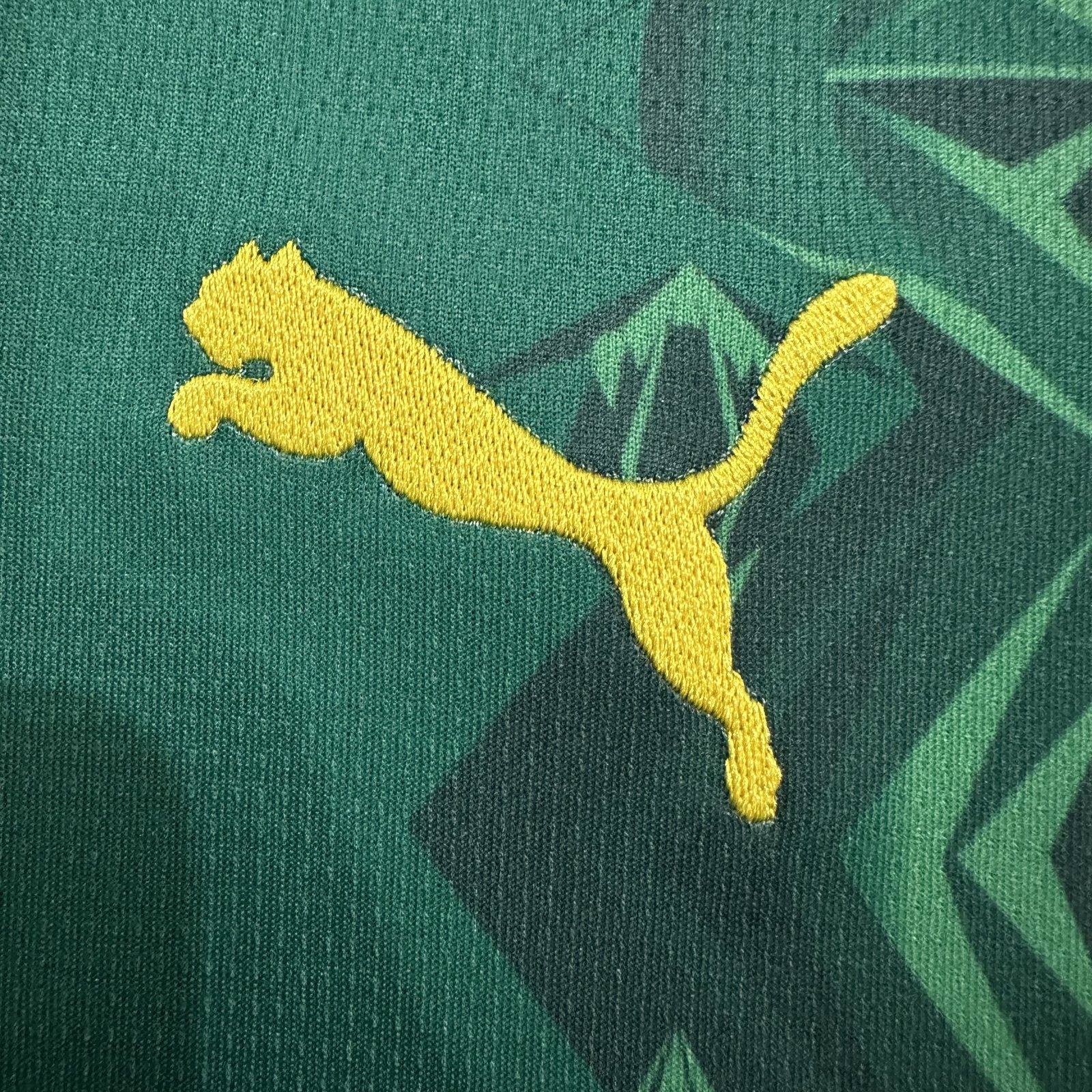 2026-27 Senegal Home Jersey