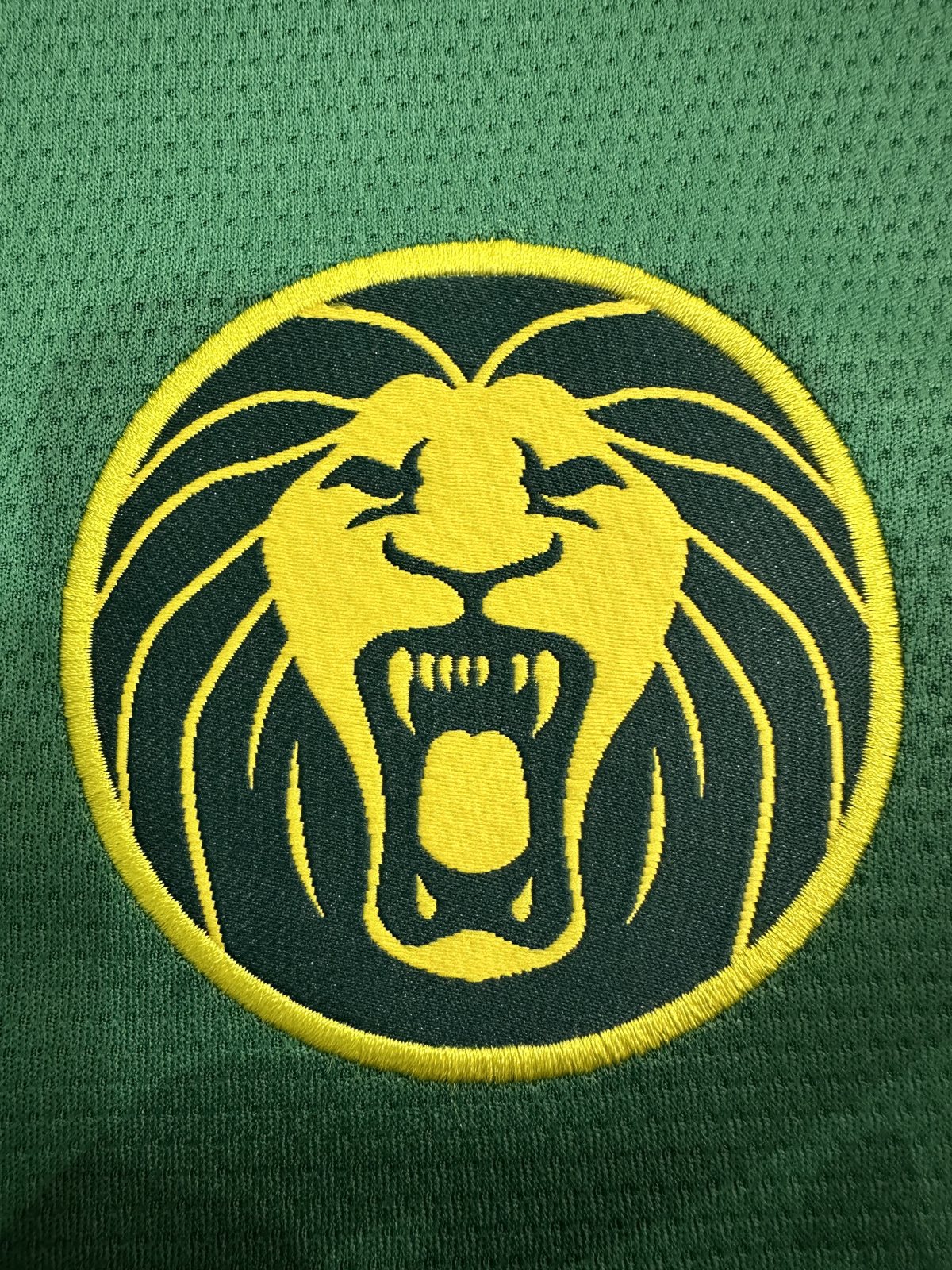 2025-26 Cameroon Home Jersey - Fan Edition