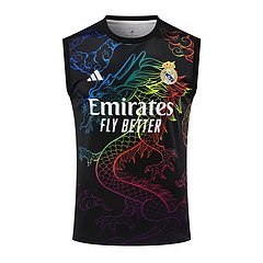 2024-25 Real Madrid Training Vest Jersey